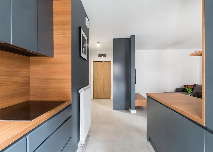 Luksusowy Przy Targach Appartement Poznań